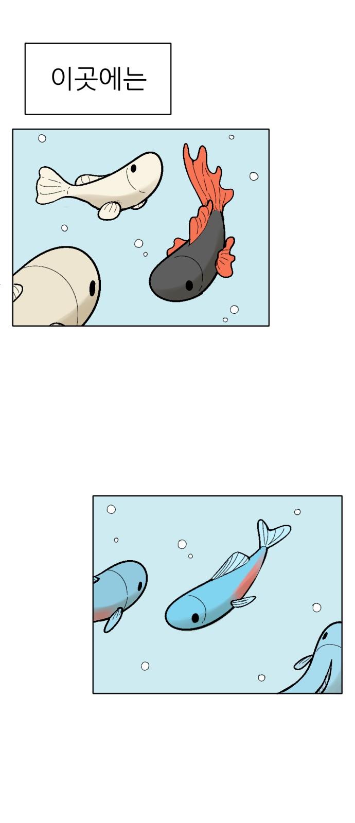 17356816684742y1uoi0pg8b.jpg