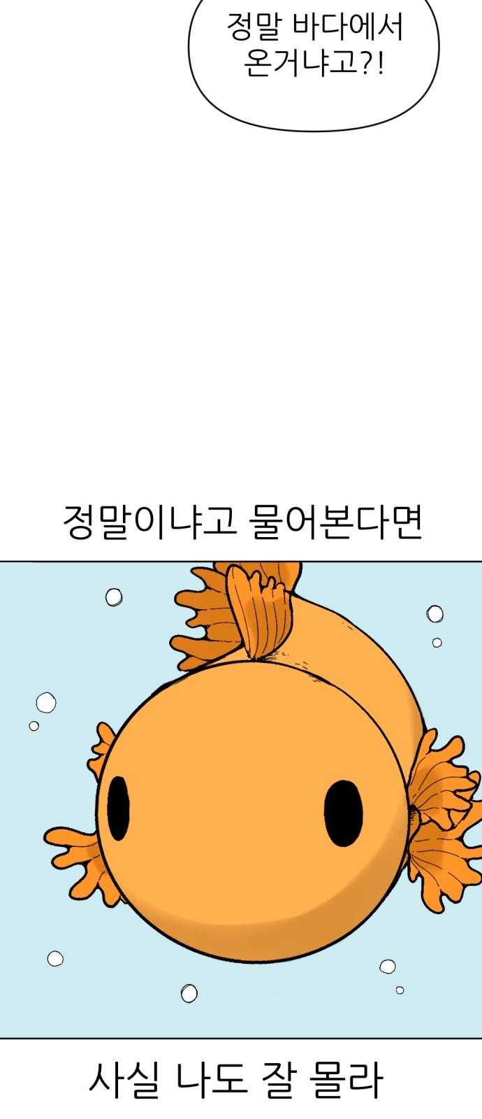 17356816778289geey8x89sl.jpg