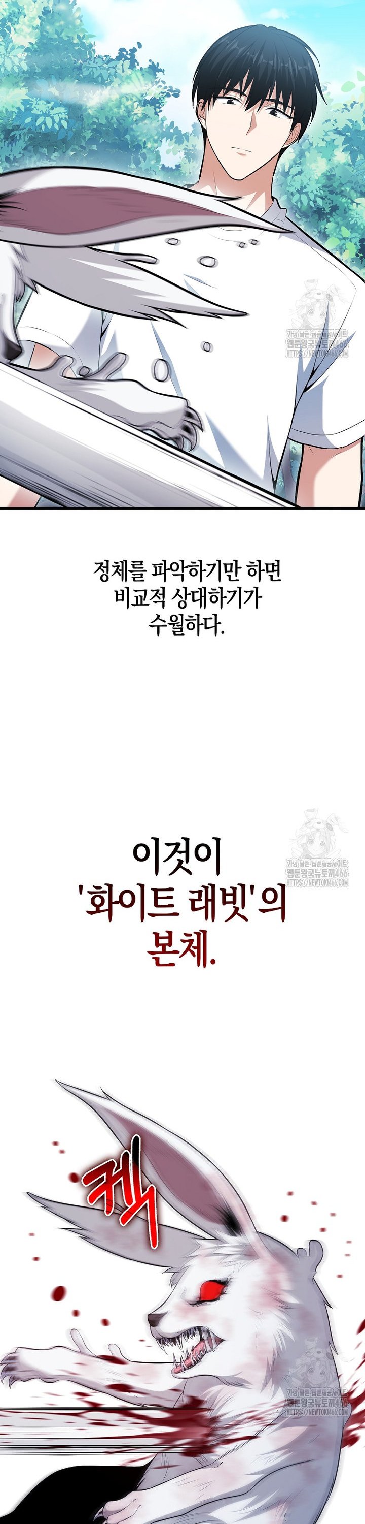 1736805242803ru0jnmnmv7d.jpg