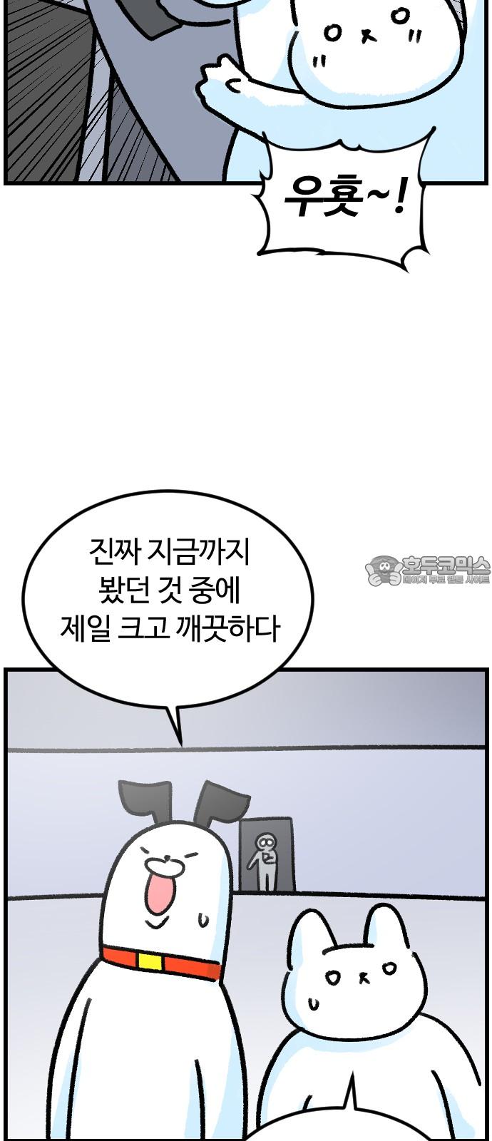 1736897214518oh4wux5jnz.jpg
