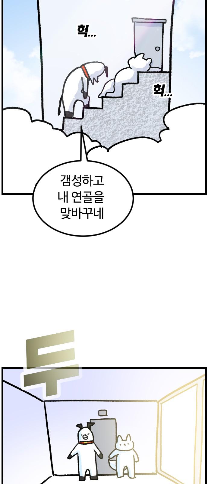 1736897215265tp28mgln80s.jpg