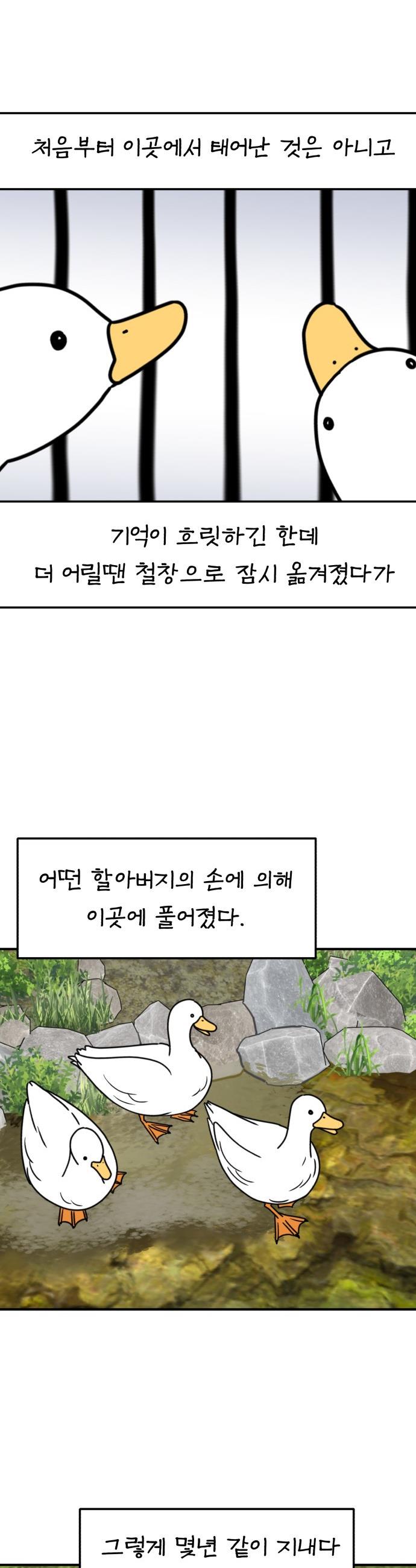 17370655983039lamcjw7lwe.jpg
