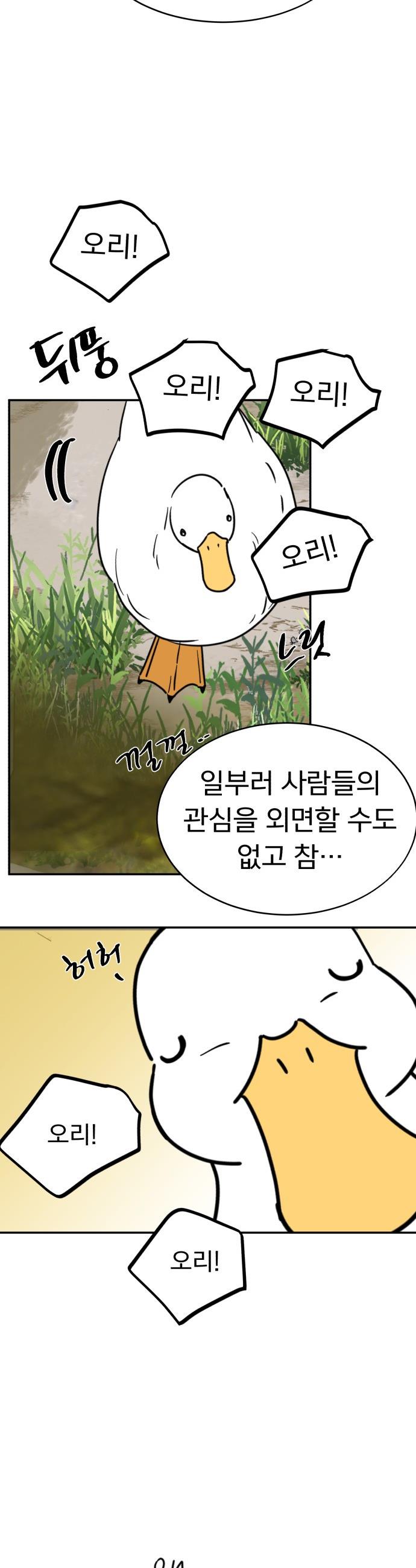 1737065608165wjhz44v2jae.jpg