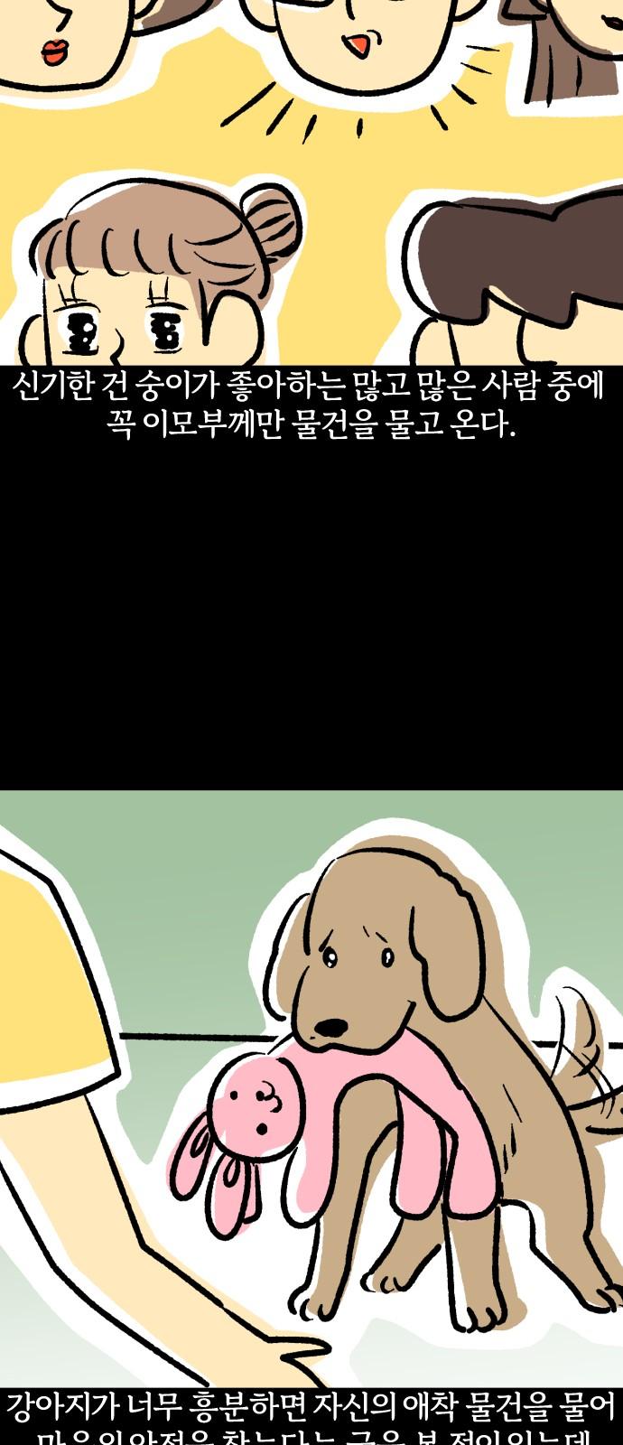 17370644326610xd1iruqzpj.jpg
