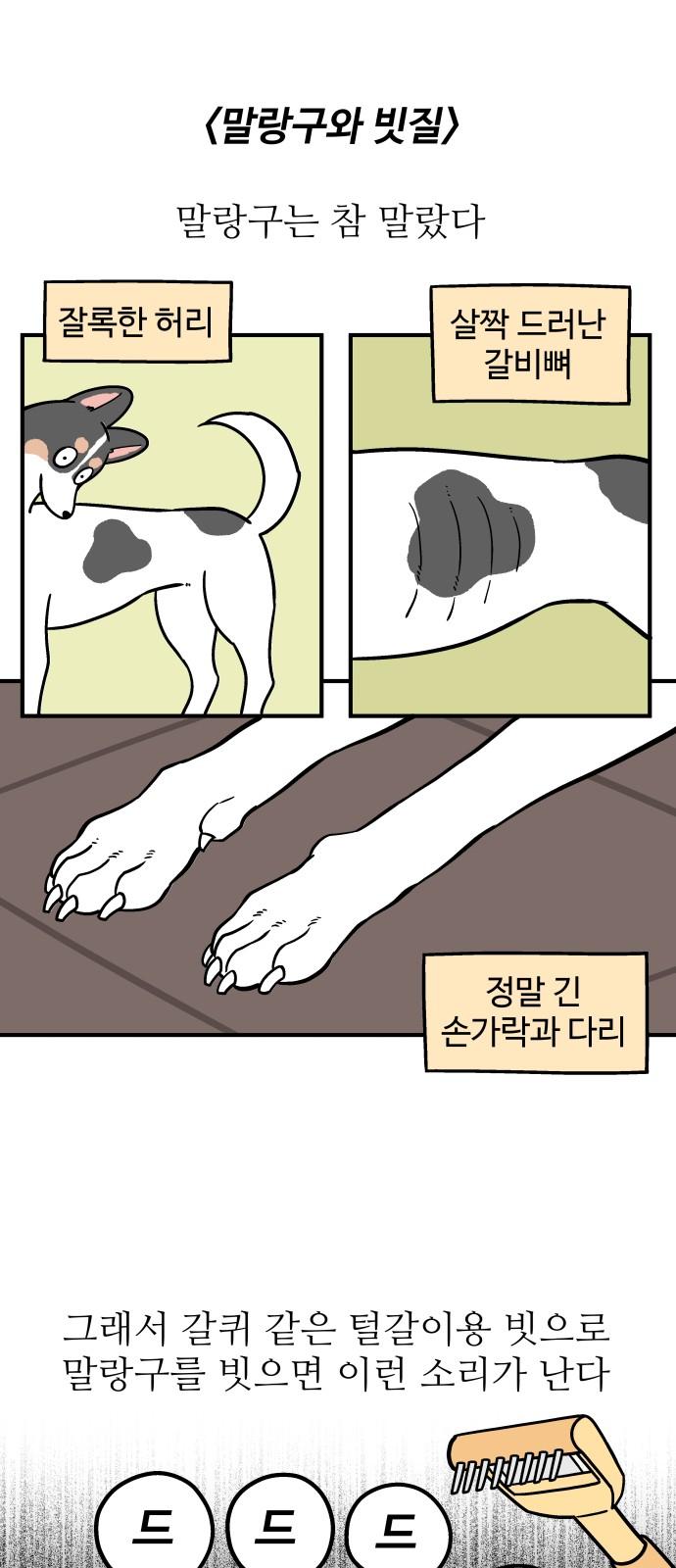 17357846963216trsssl1kxs.jpg