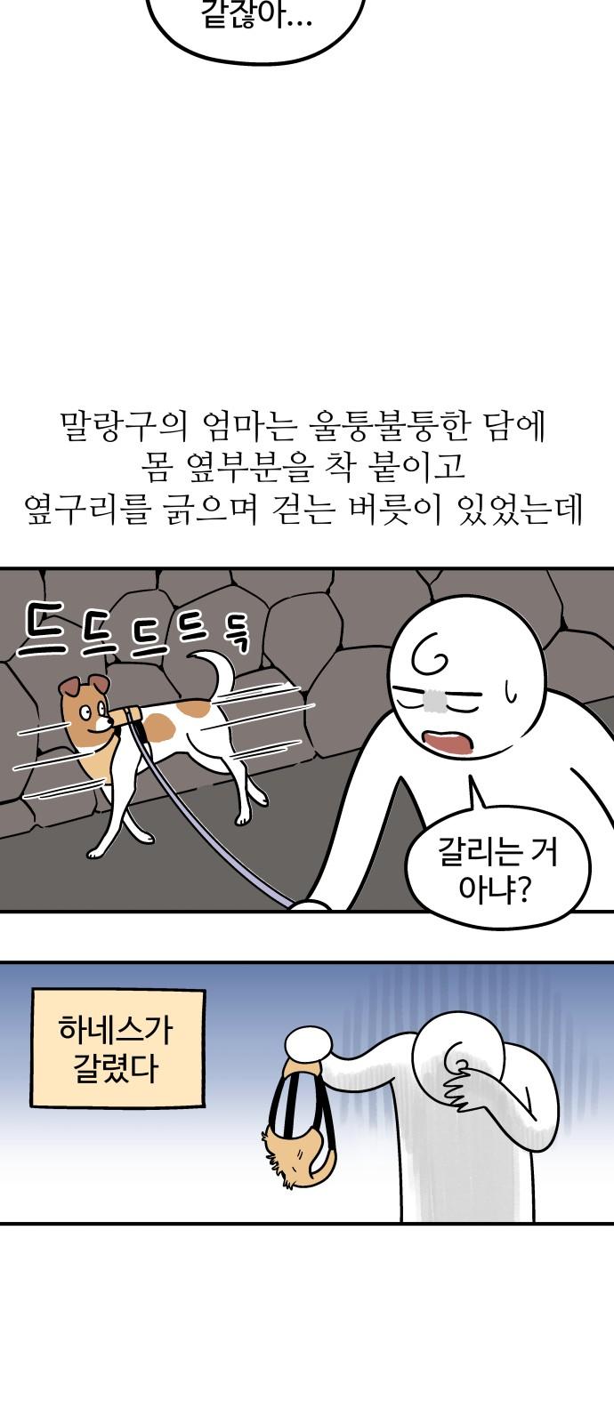 1735784696641anuqjg9h7fq.jpg