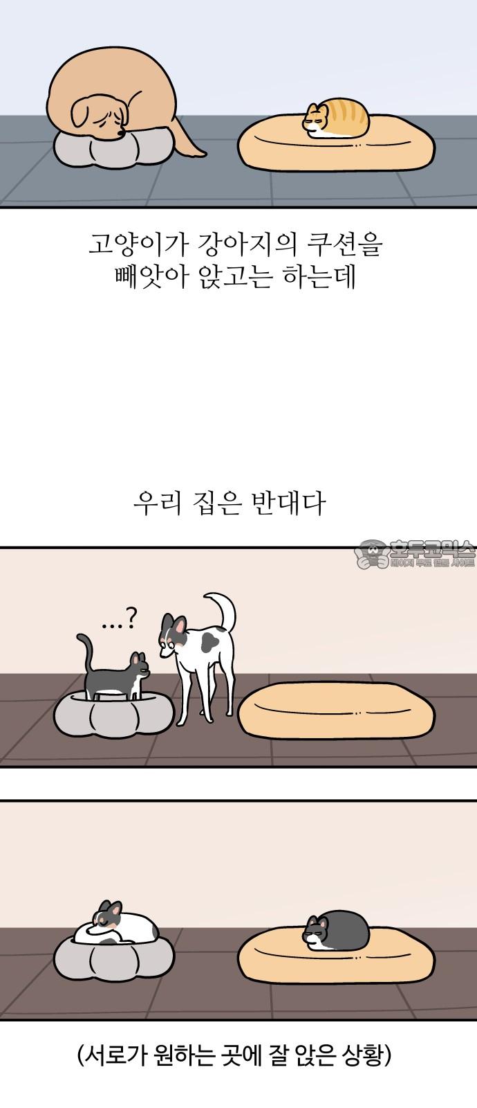 1735784697884baskkwi8th.jpg