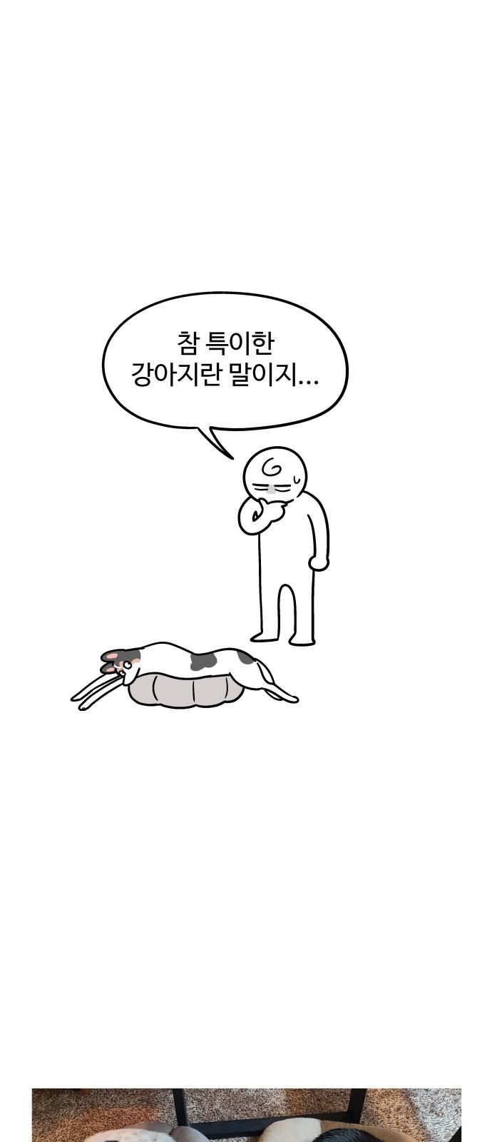1735784698039e3wm1baeyph.jpg