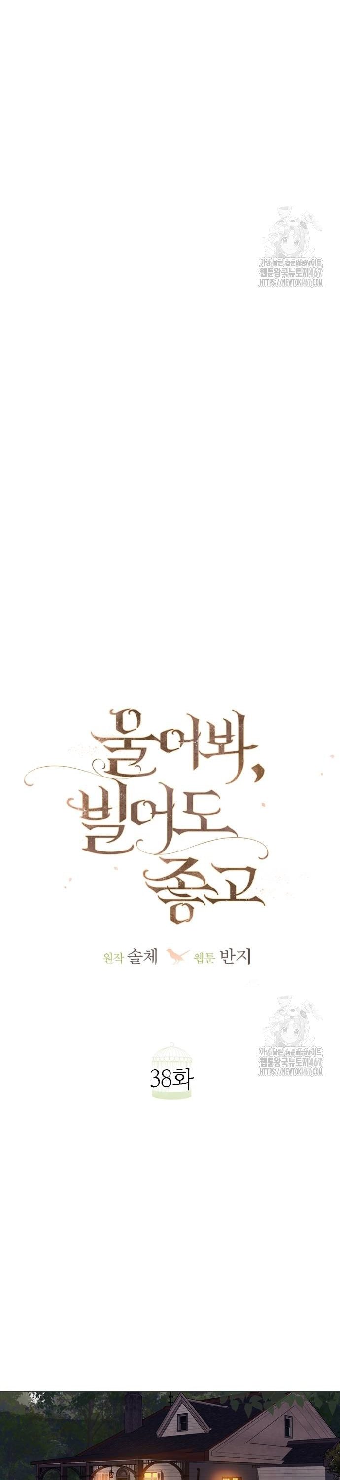 1737501650070b86eviat5j.jpg