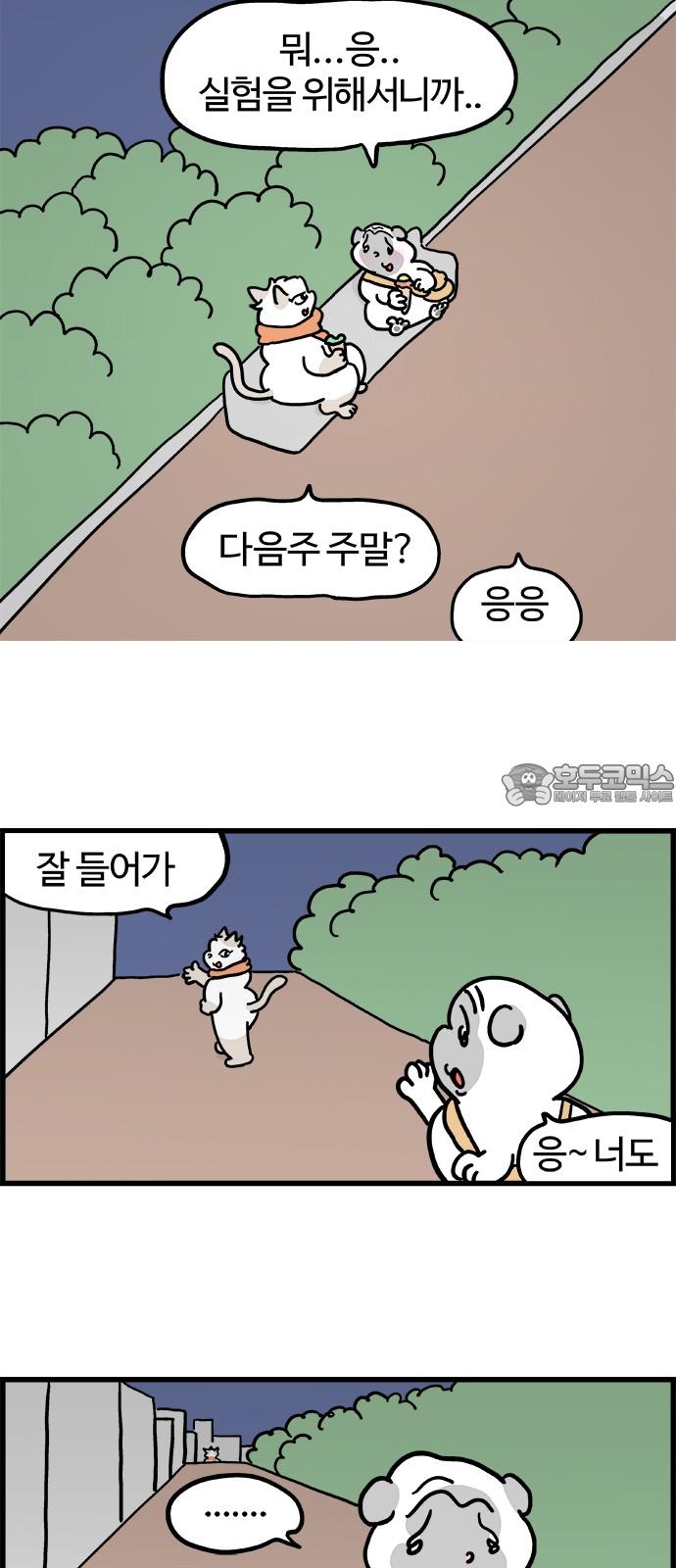 1737586480224kbaexto2d.jpg