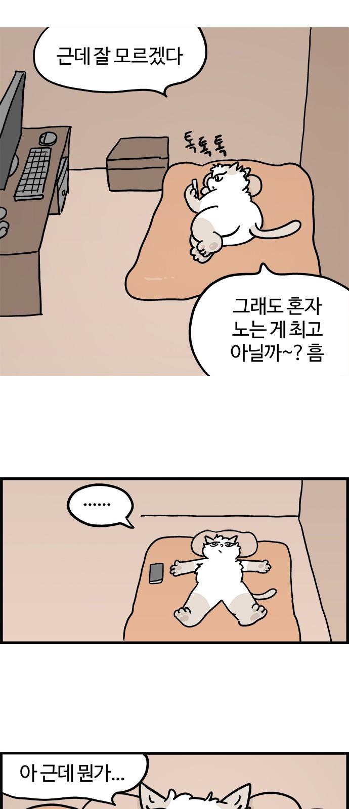 1737586480849wo6o6jd4d2m.jpg
