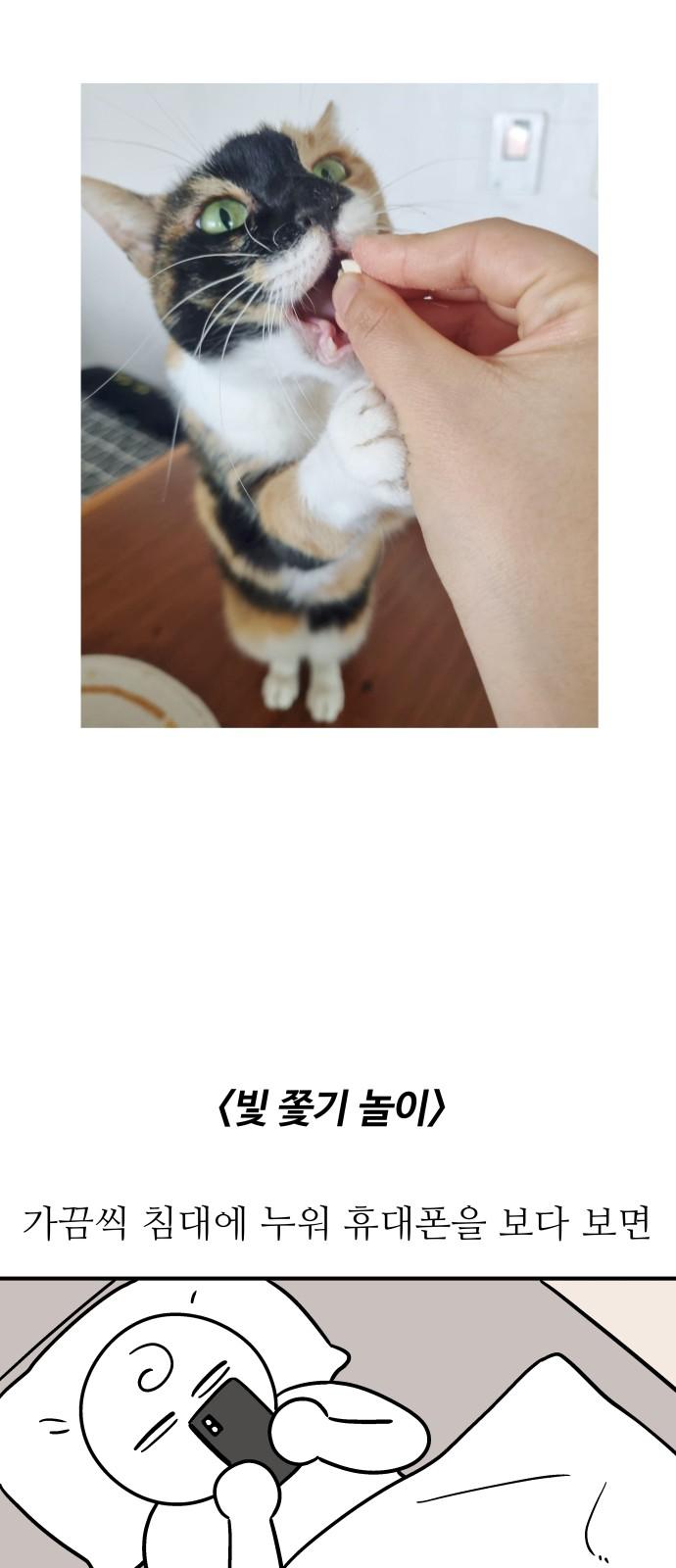 17375863080305goymyyun6y.jpg