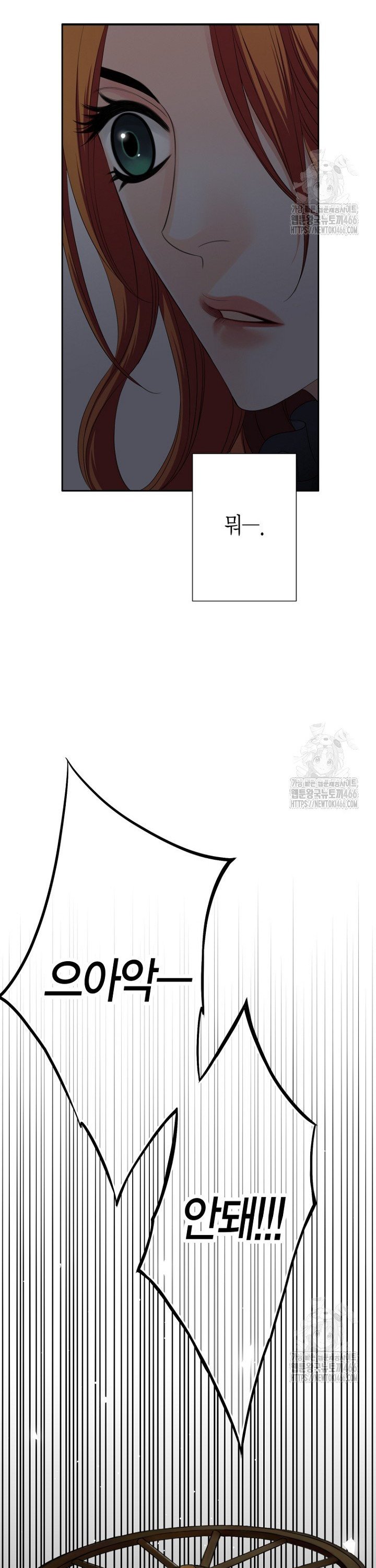 1735858537713hzl8ni8defh.jpg