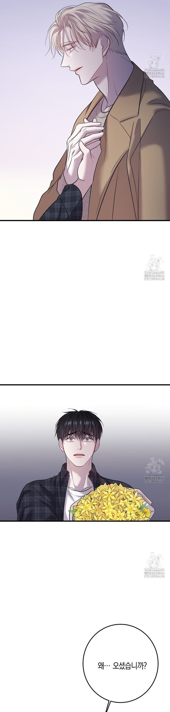 1735858546375olxjsoo4e6j.jpg