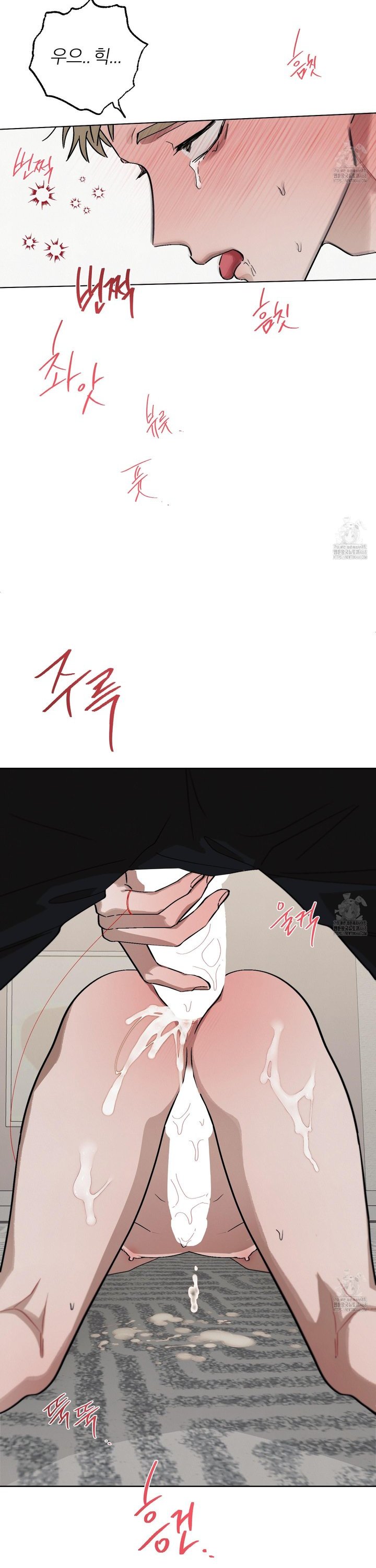 1738215005294p63koeufwxs.jpg
