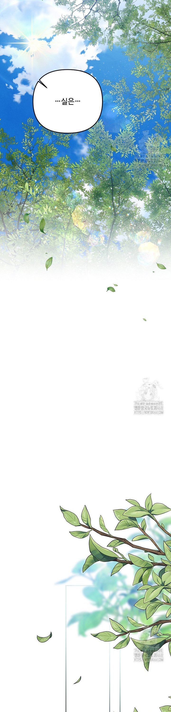 173825219537166e8qh9441r.jpg