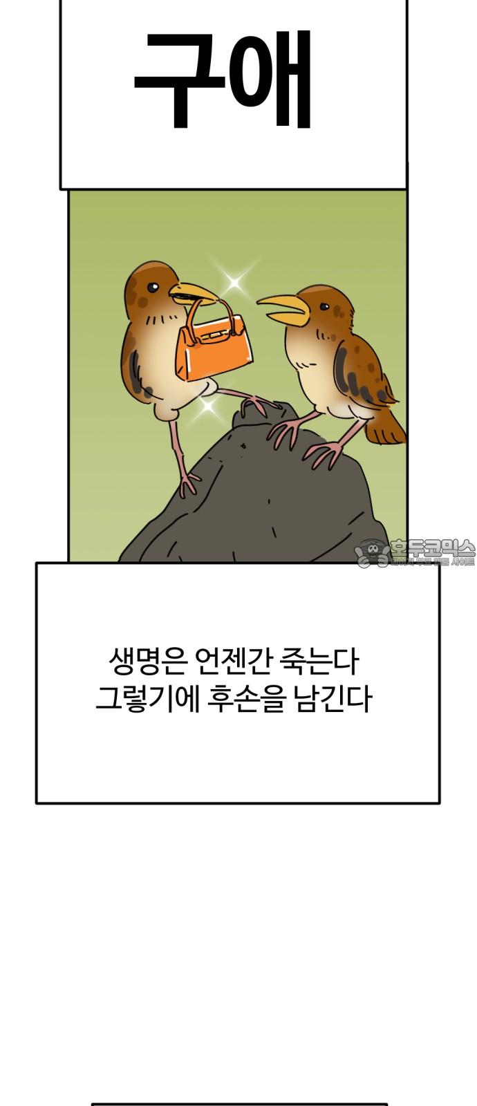 1738252358726sn1m9snmoya.jpg