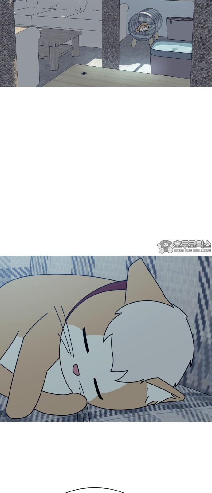 1739311205053idz73wdq3n.jpg