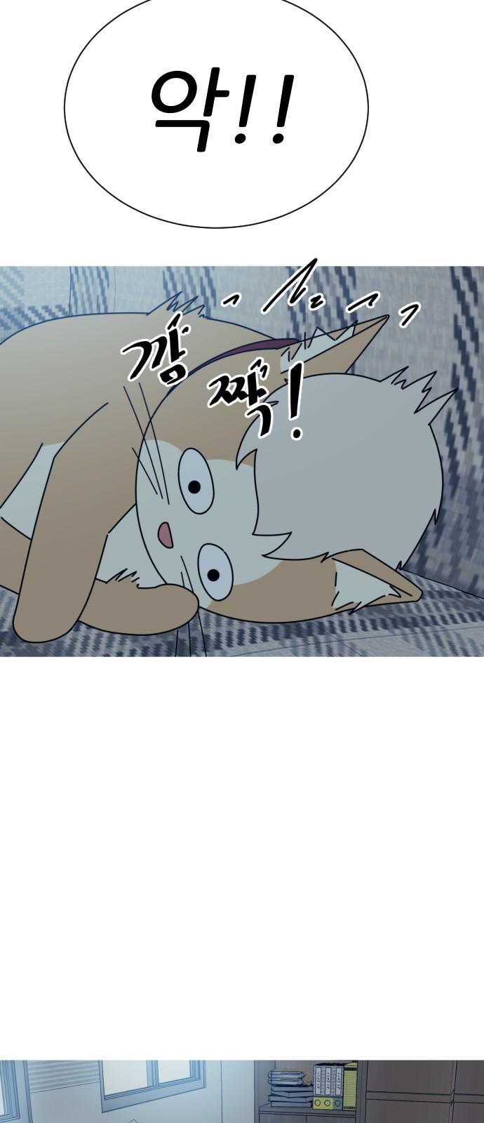 1739311205211wzgwcnhypm.jpg