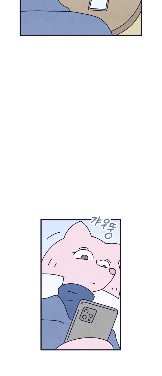 1739313687413rbo870trezp.jpg