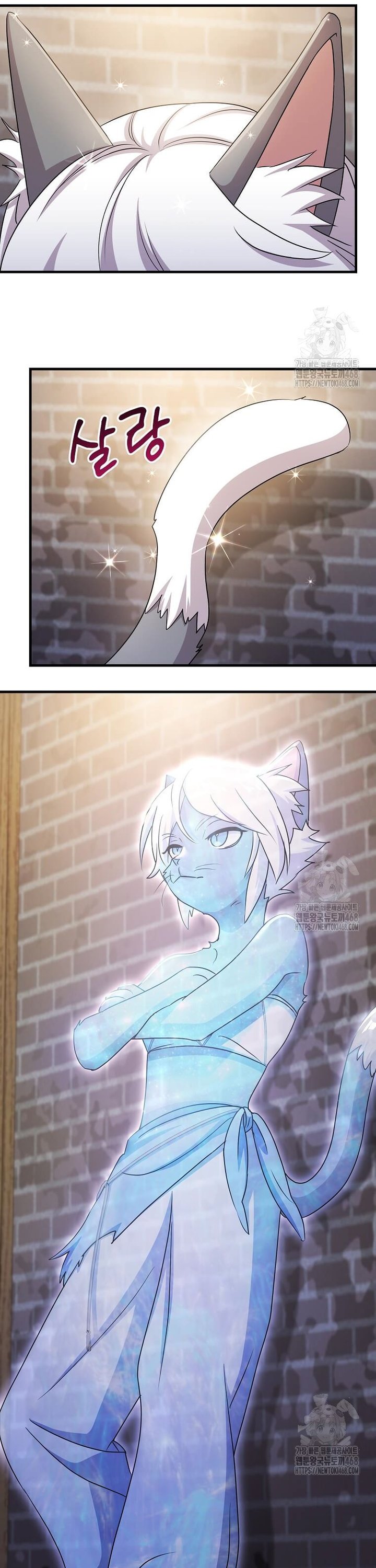 1739310934444gv65fzackj.jpg
