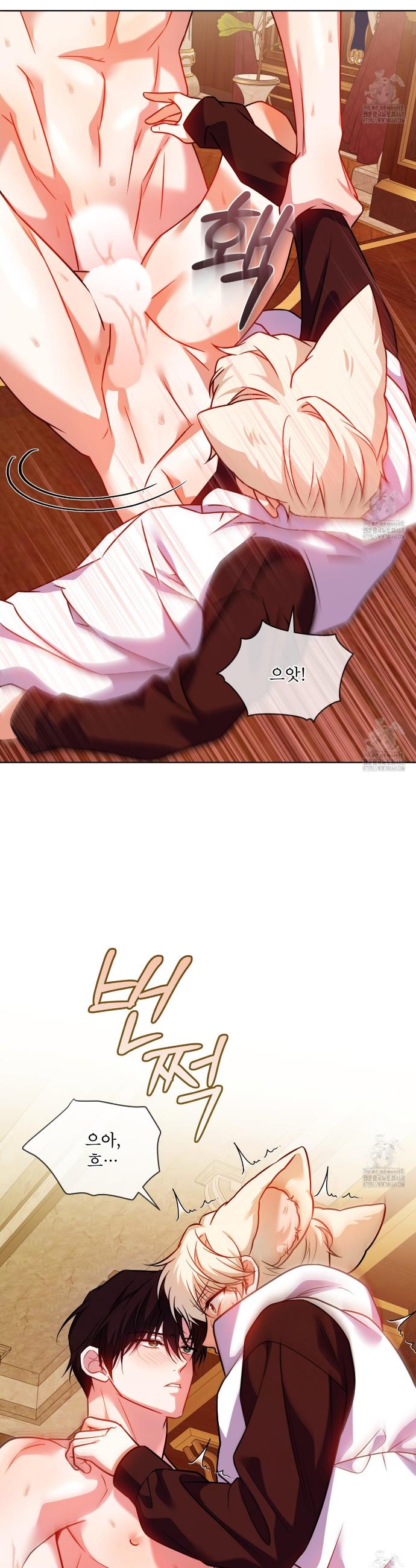 1739493191576w4vrcografb.jpg
