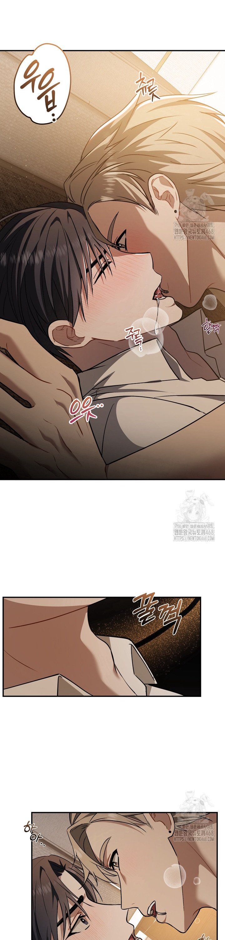 17396574786448of08nt8mv.jpg