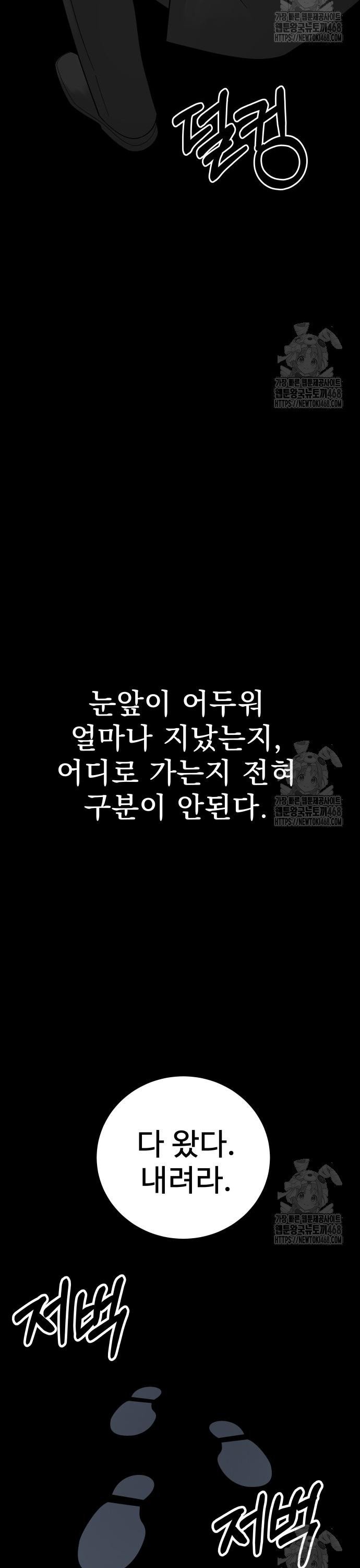 1739744384981e9pukra5imr.jpg