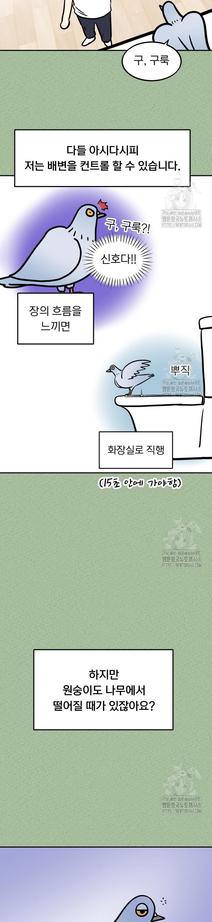 1739743700349zw84qak13kk.jpg