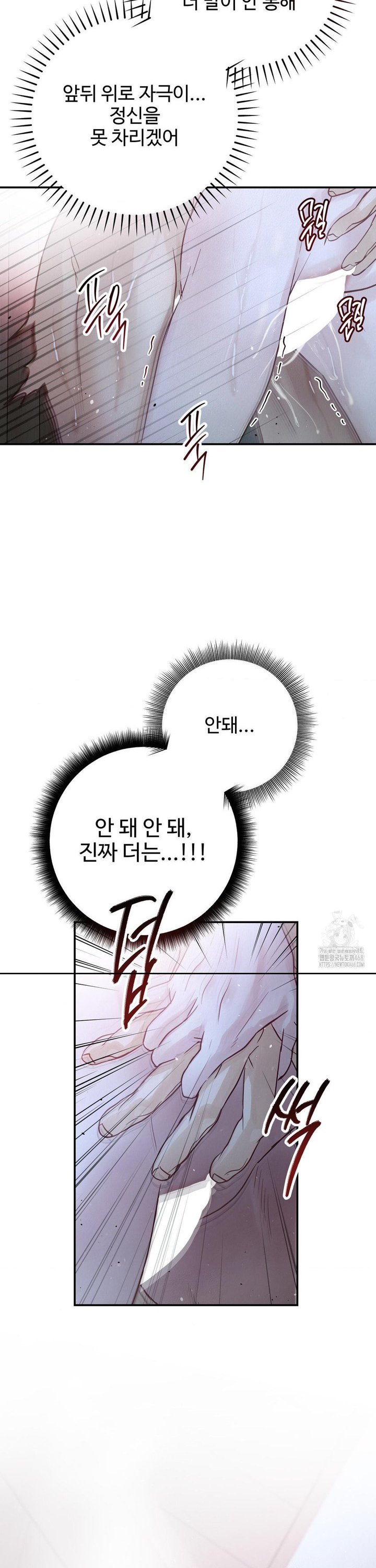 1739829235141x73ysb4hsgn.jpg