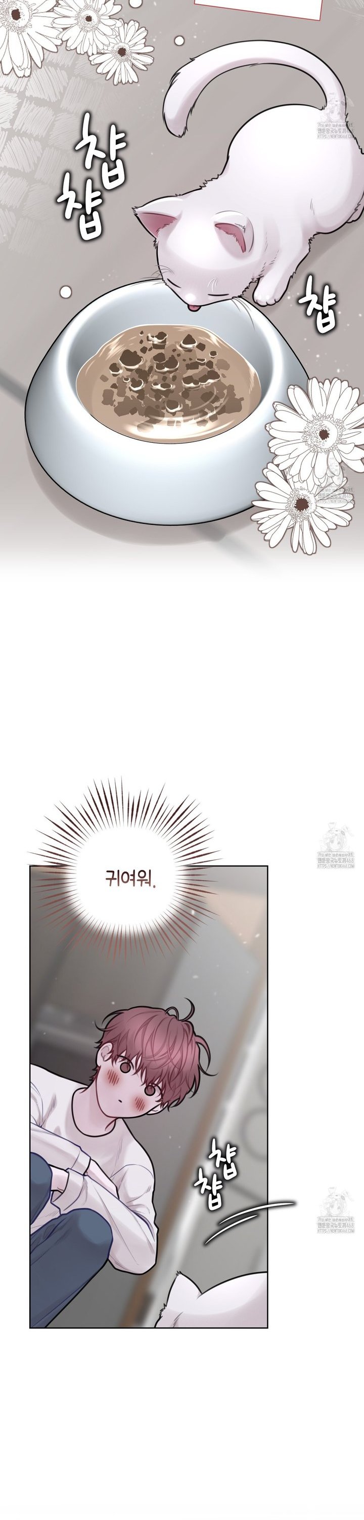 1740129602490xvk2ep6jjvk.jpg