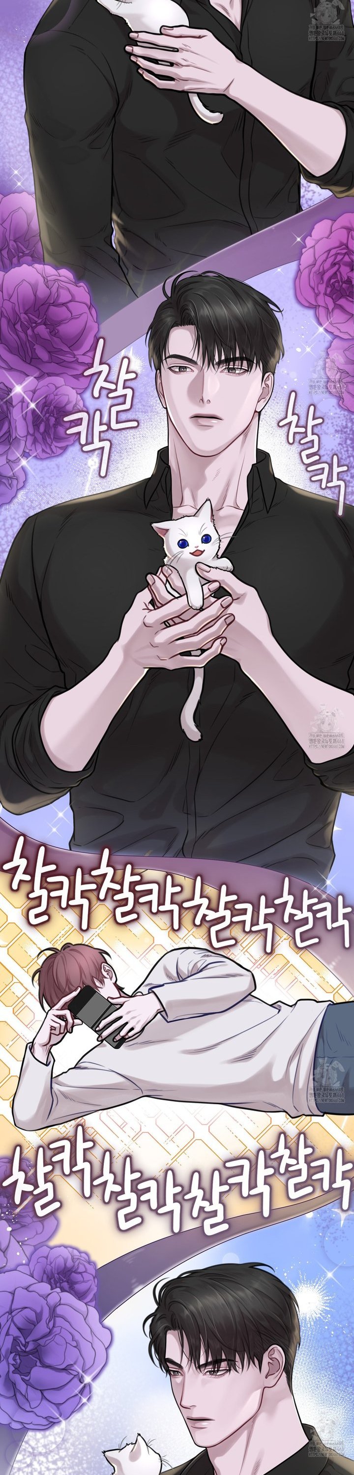 174012960484108jp007bovk.jpg