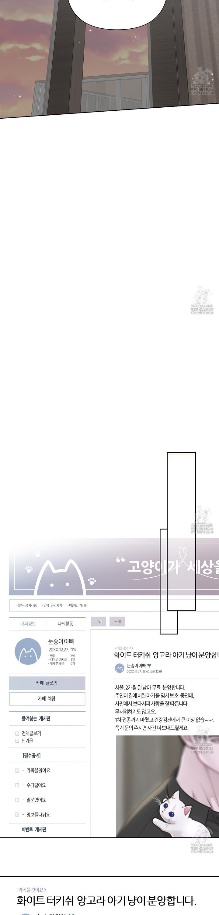 17401296057828k8tfmmklhm.jpg