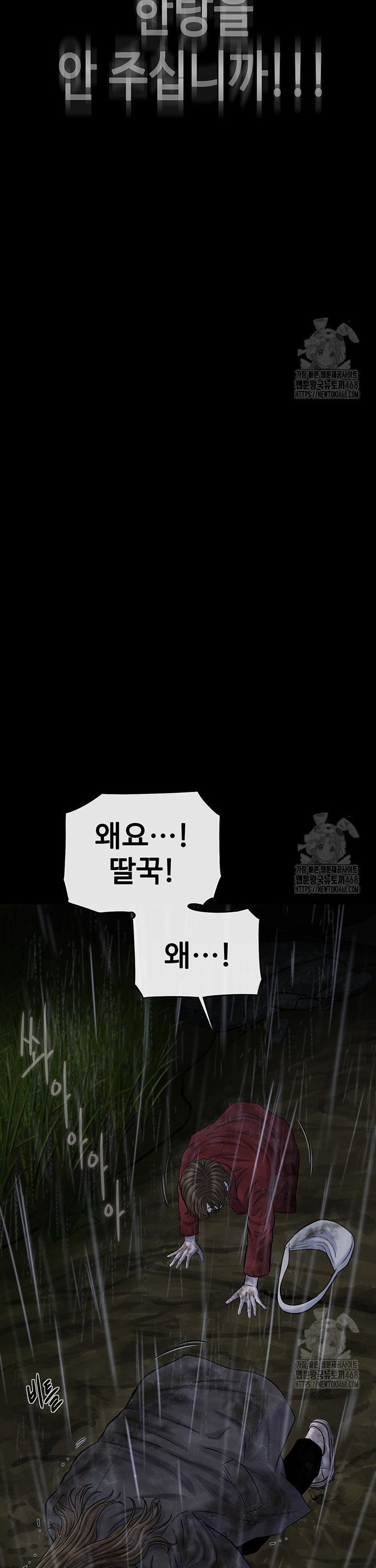 1740351478056yhct53yibn.jpg