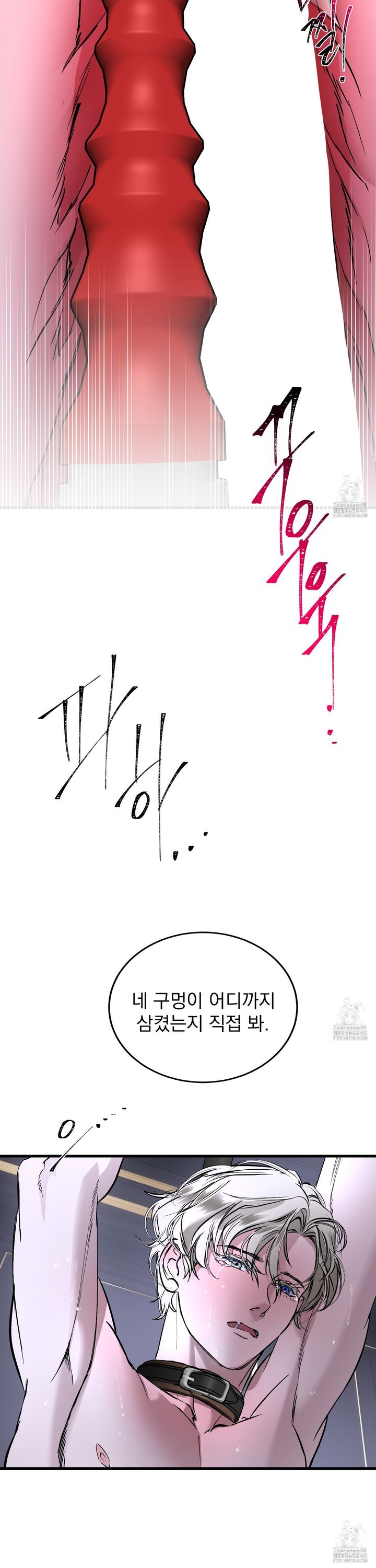 1740353143097gmw4nmofjc9.jpg