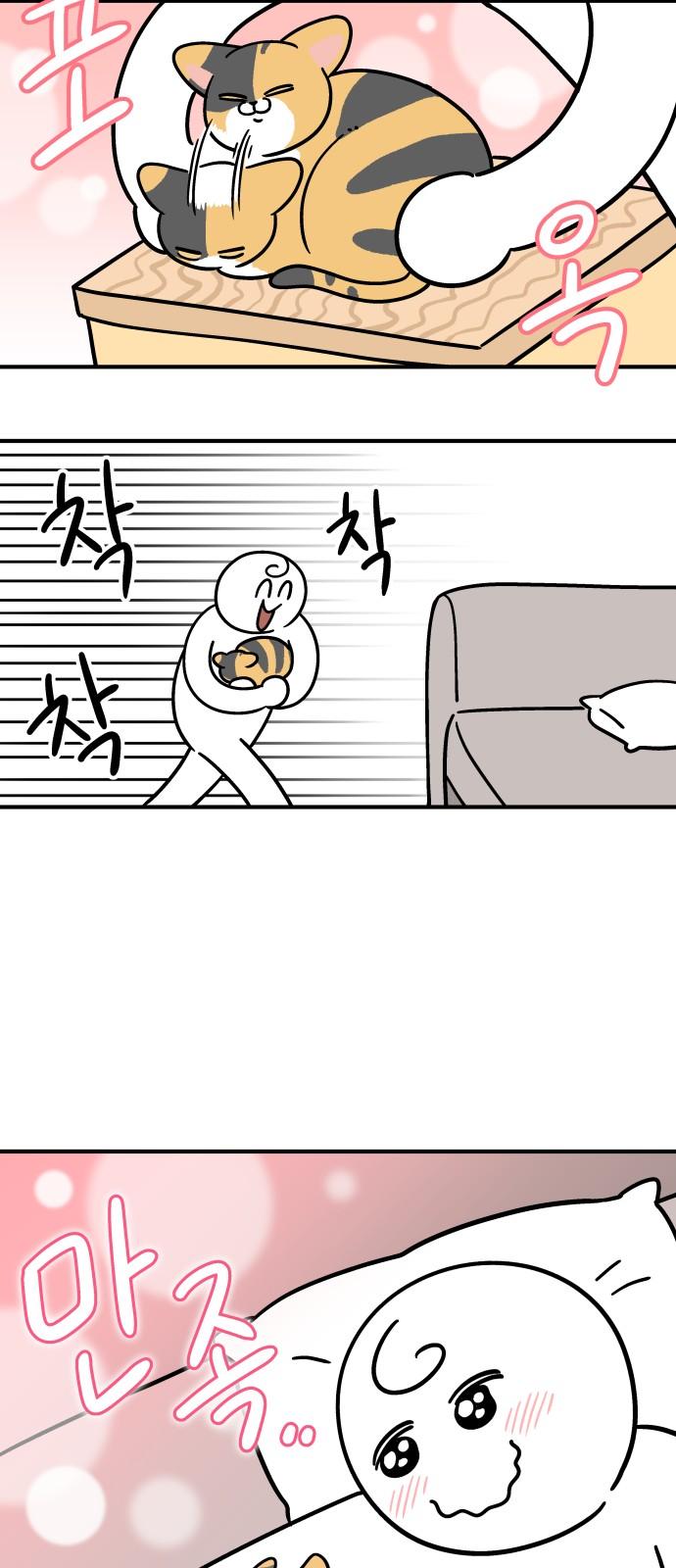 174035173803659l3arhw54t.jpg