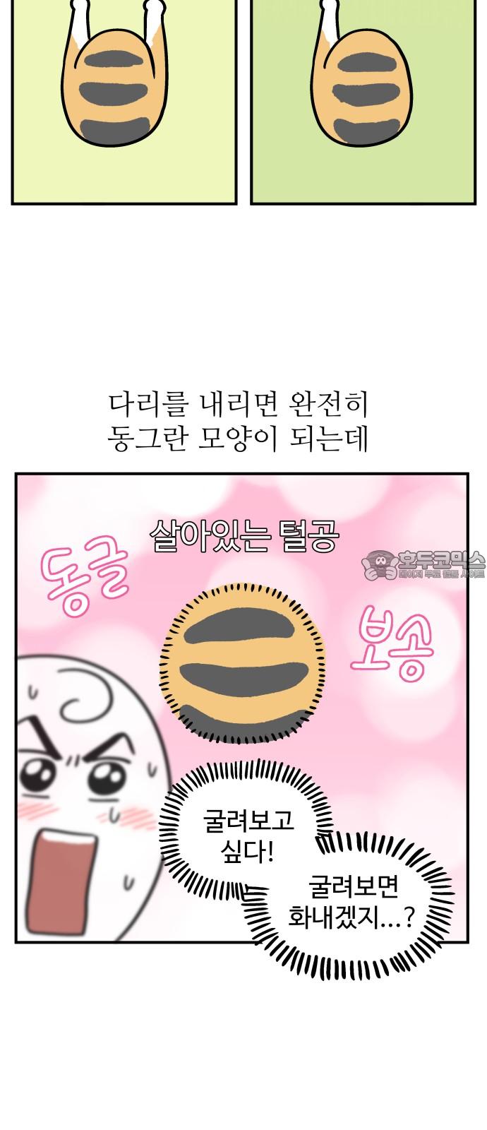 1740351743079b097t1keuri.jpg