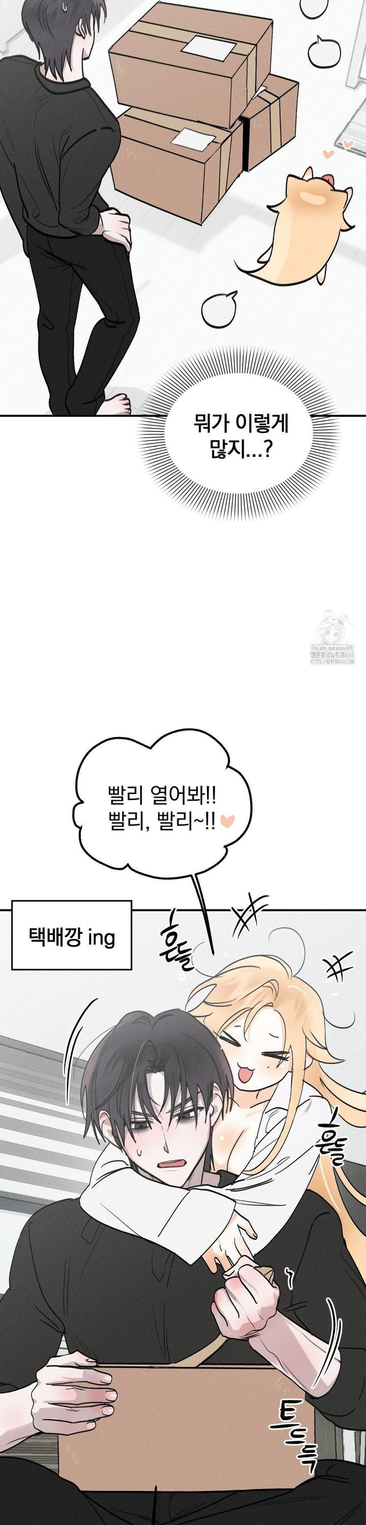 1740411442237hqjb5yasorv.jpg