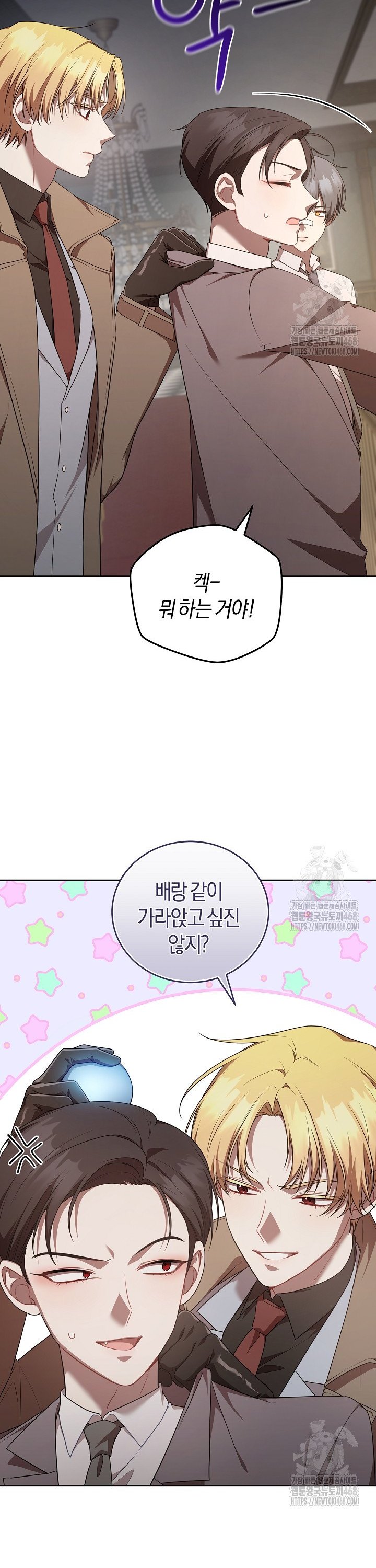 1740411392172elbk2x2gwdm.jpg