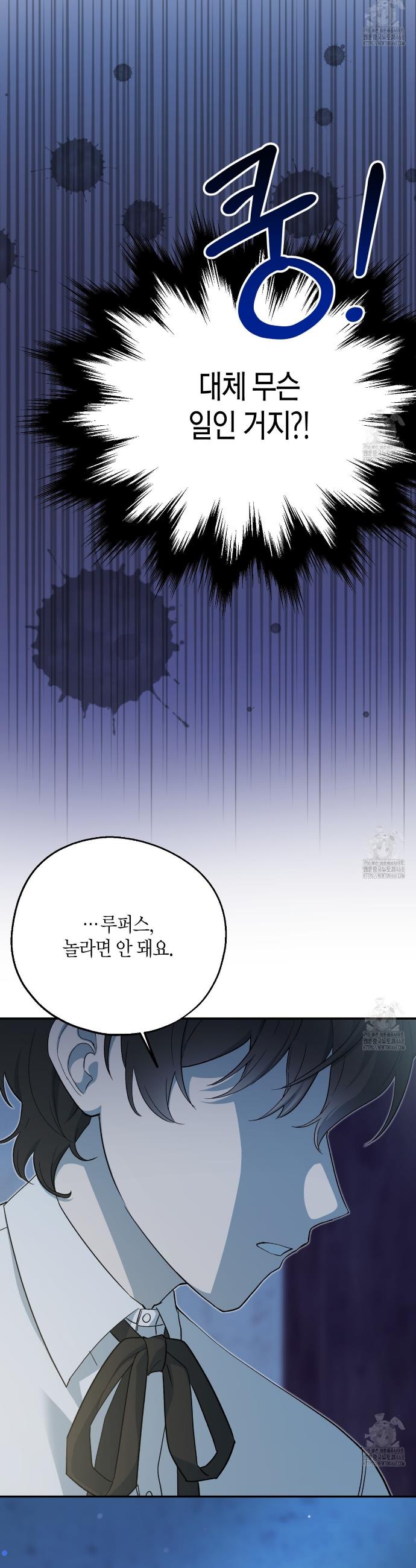 1740497365712jkub7q4jv3.jpg