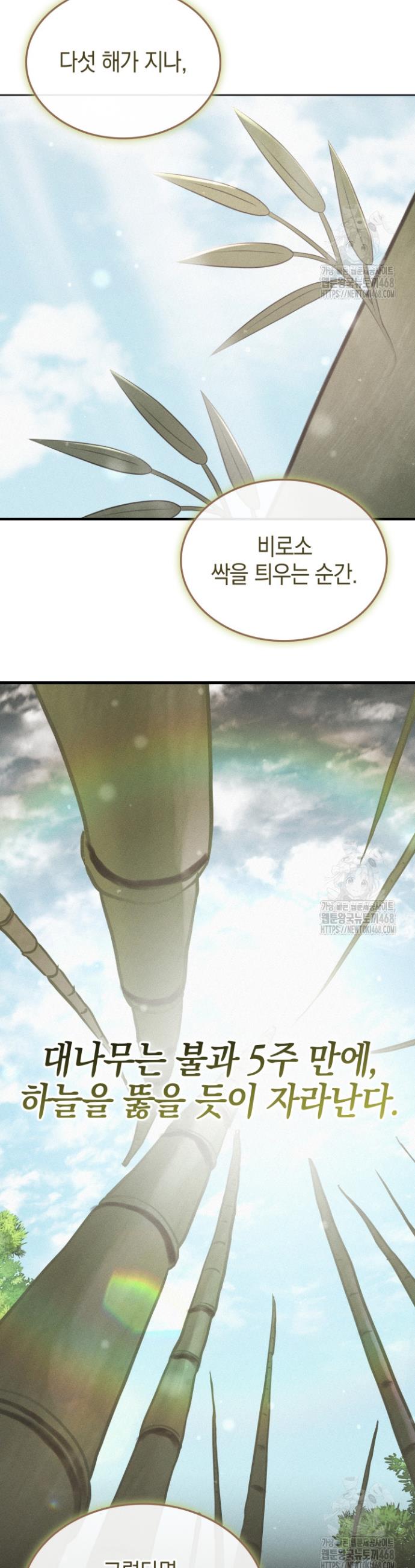 1740606941353om4uphxoswa.jpg