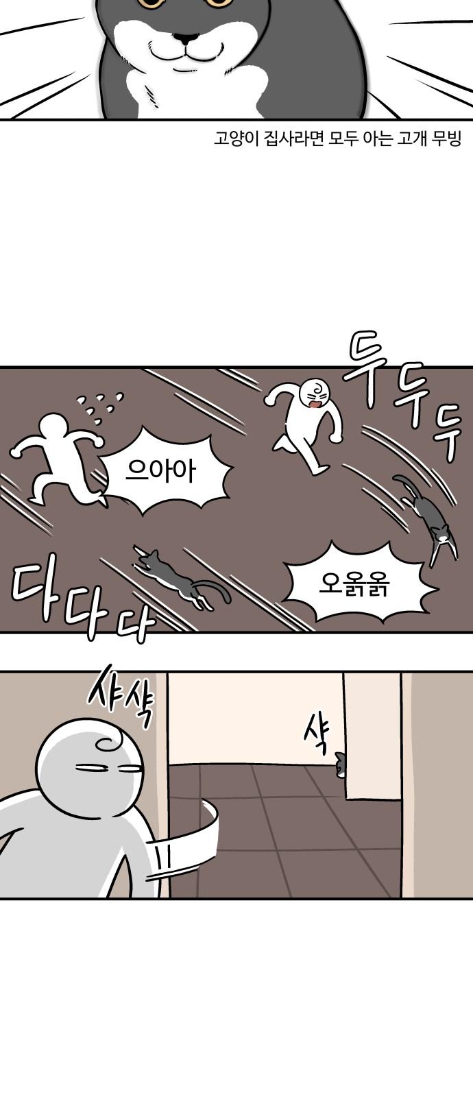 1740628265008uiucvyl4oba.jpg