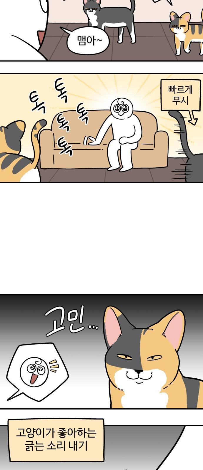 1740628266569uh0txk9z2ha.jpg