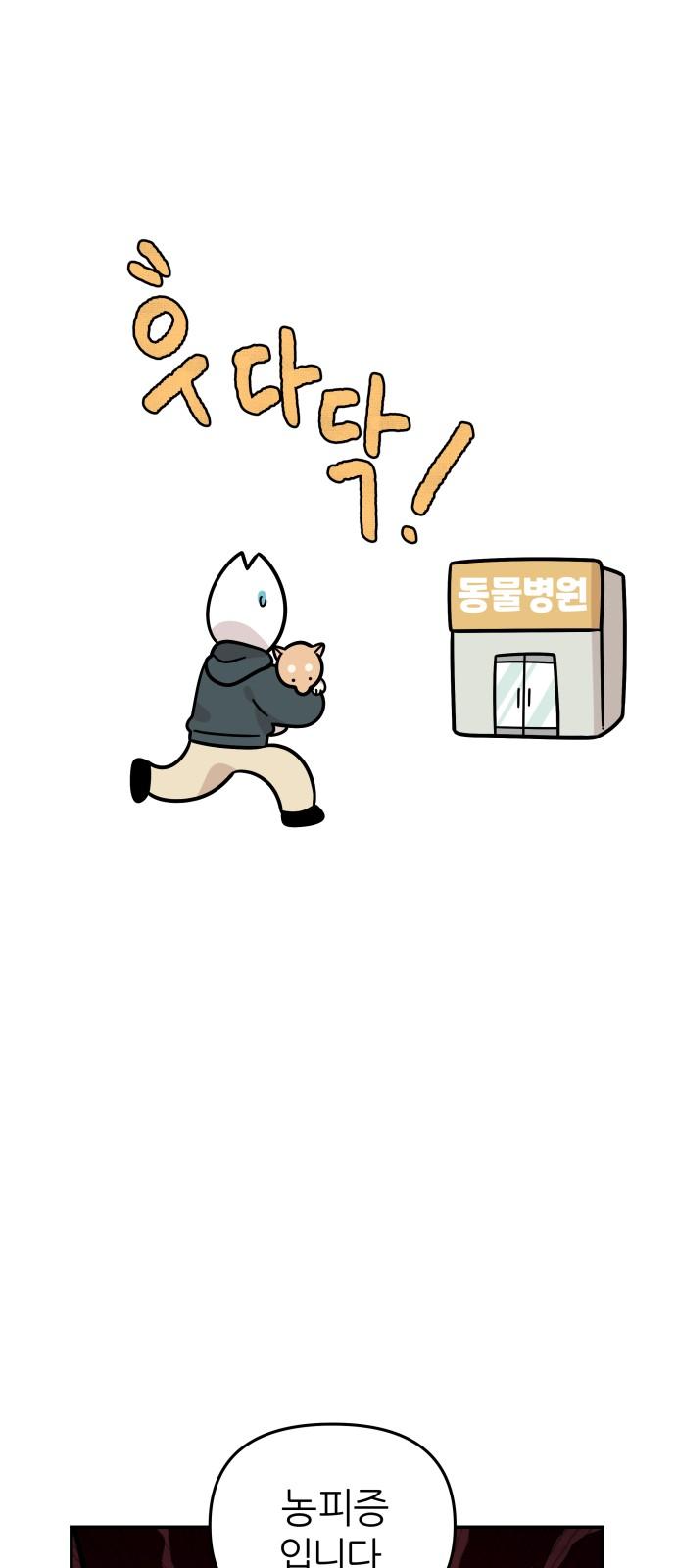 1738709502170ga81wd1yi2l.jpg