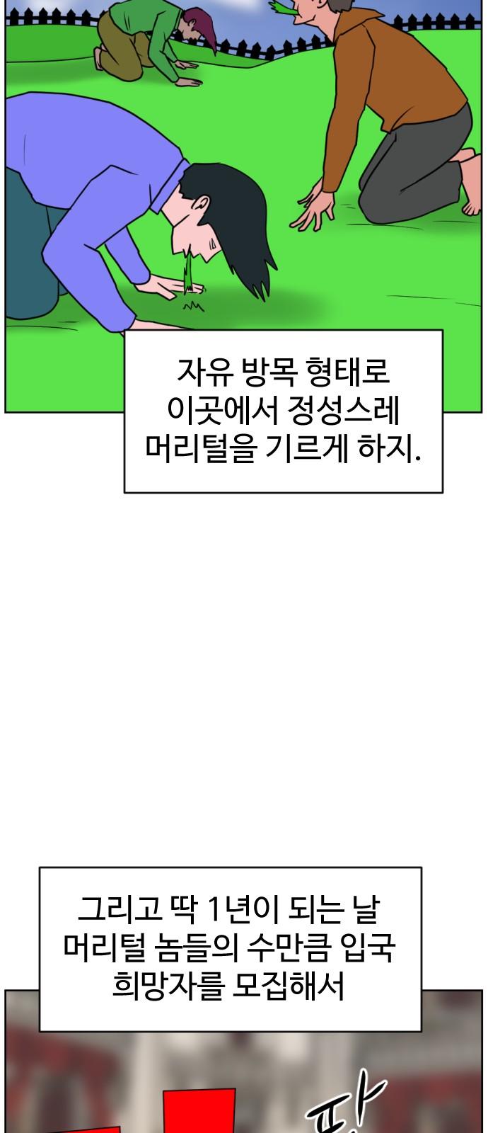 1738708896367f63q2k8o1pj.jpg