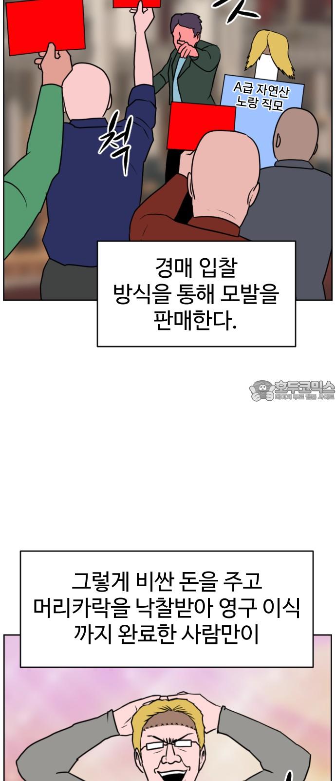 17387088965236j6ji6eaxsn.jpg
