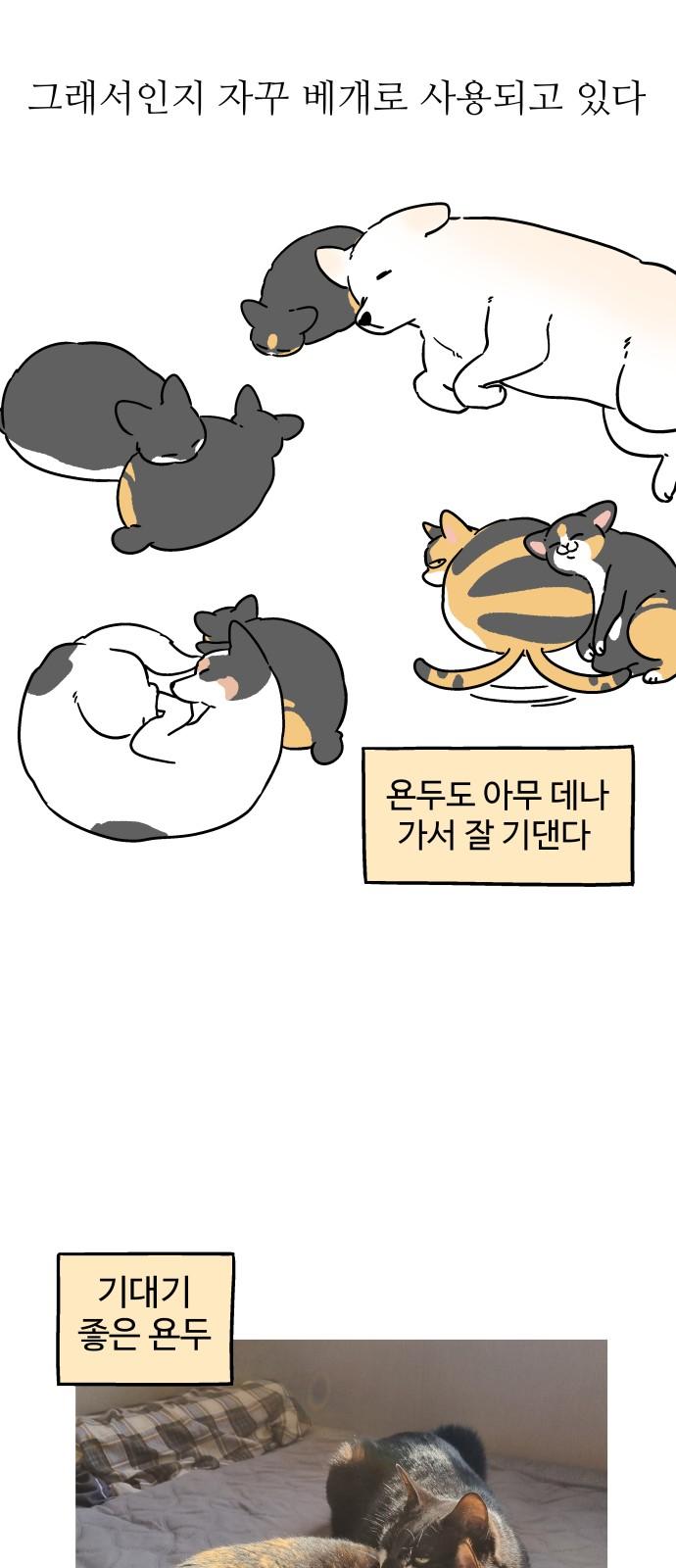 1738813252028owi8y5srkj.jpg