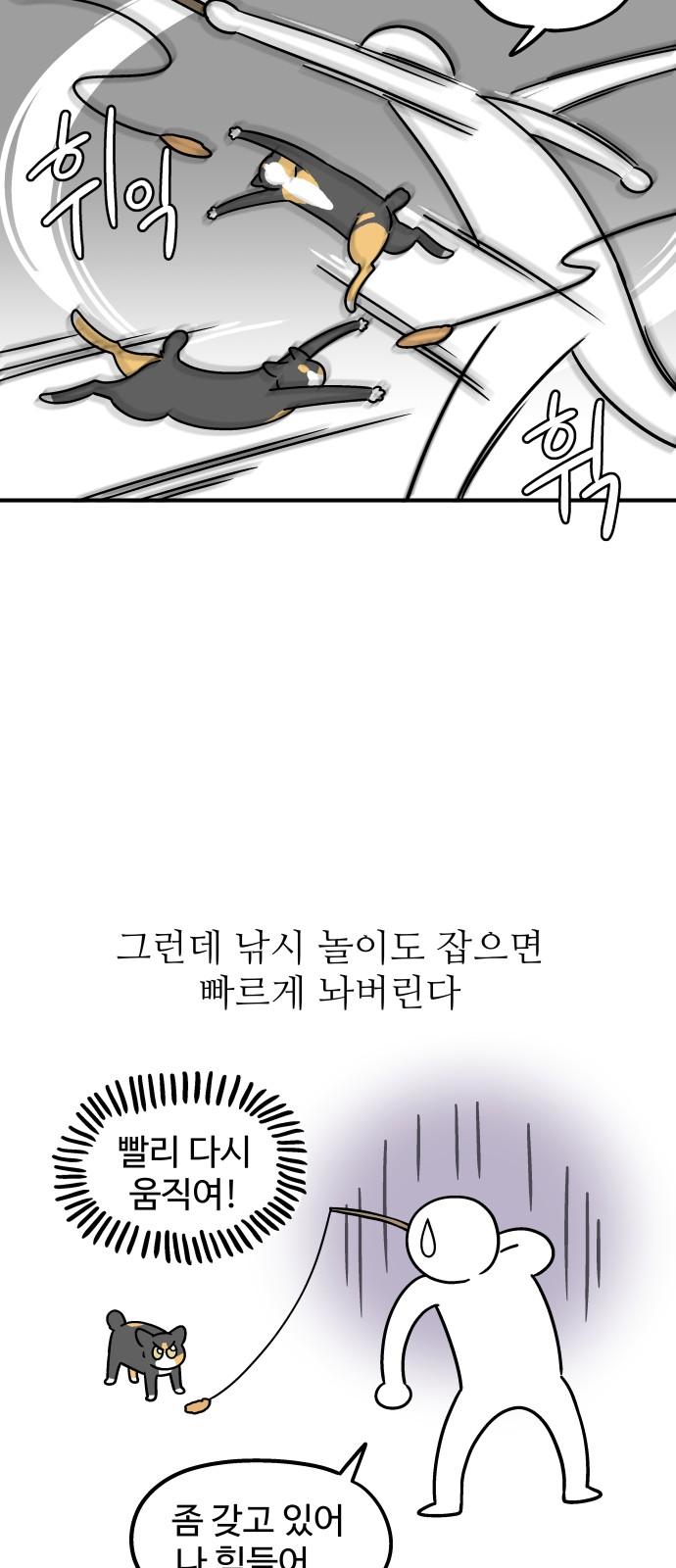 17388132539044wpgyj7nbup.jpg