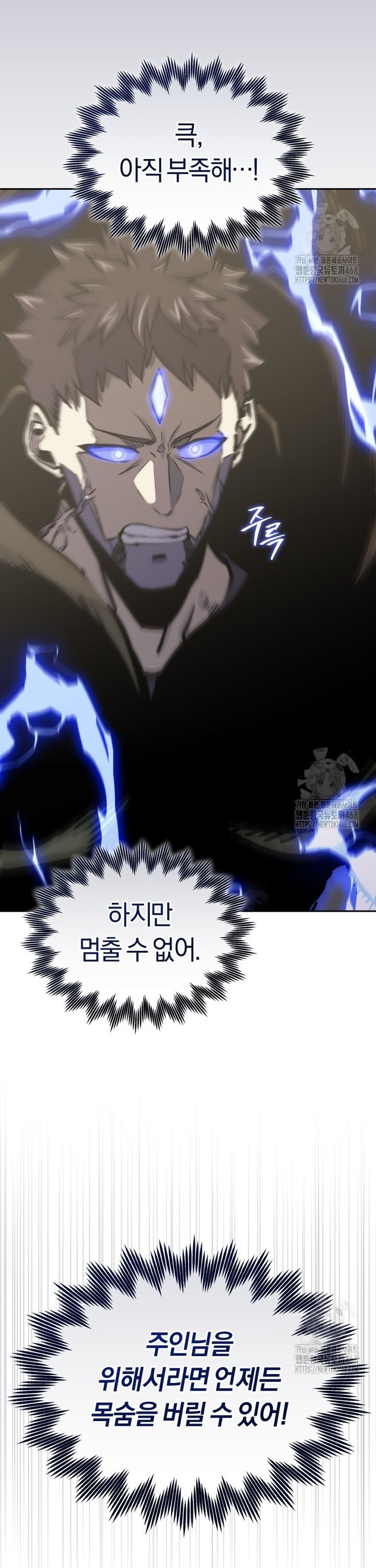 1738950560726vdsfbd11yhn.jpg