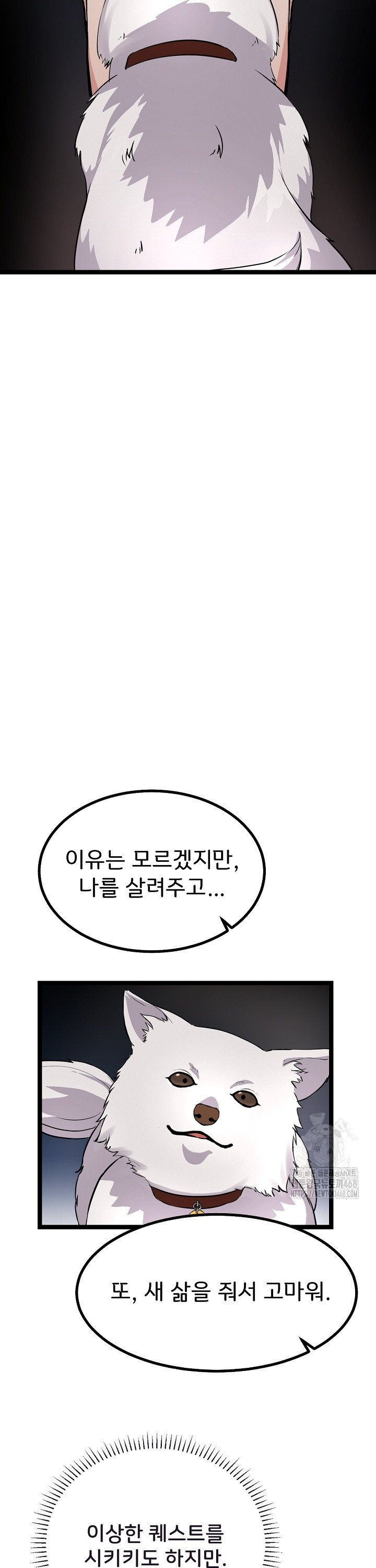 17390521789507k2sf5vk4wp.jpg